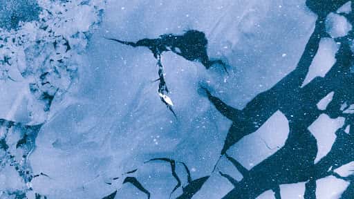 Alluring Arctic channel image
